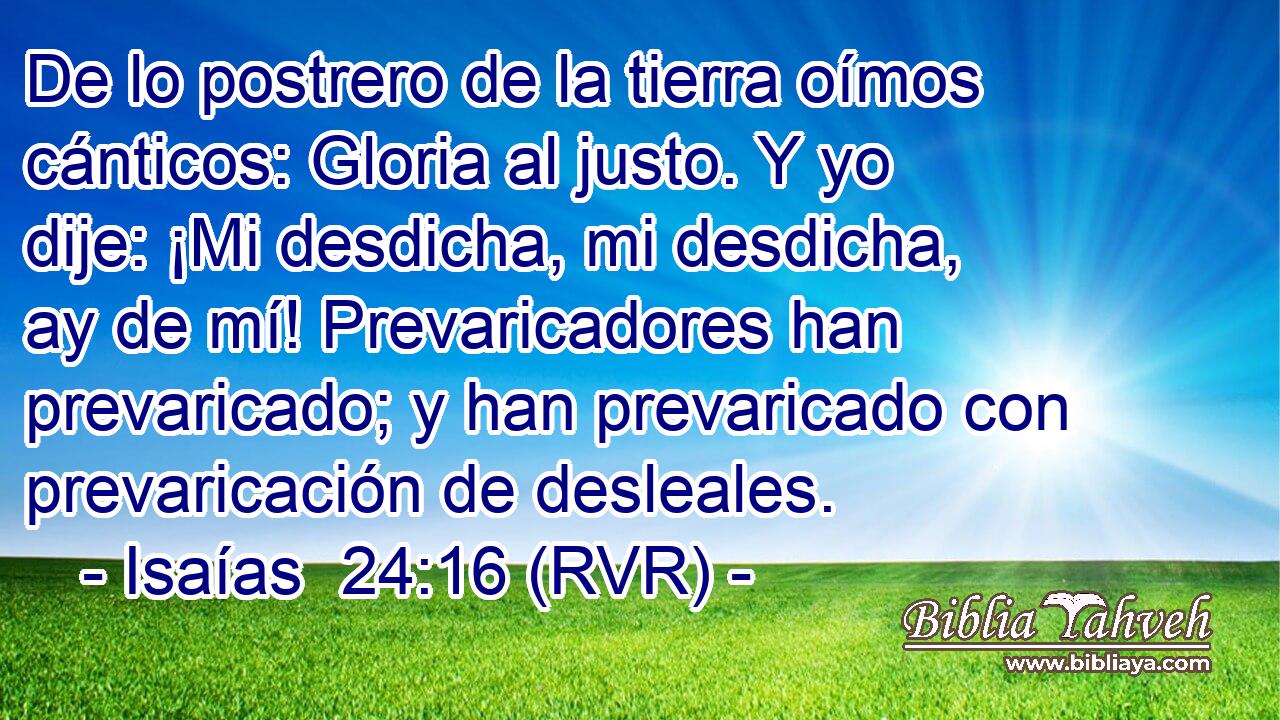 De lo postrero de la tierra oímos cánticos: Gloria al justo. Y yo dije: ¡Mi desdicha, mi desdicha, ay de mí! Prevaricadores han prevaricado; y han prevaricado con prevaricación de desleales.