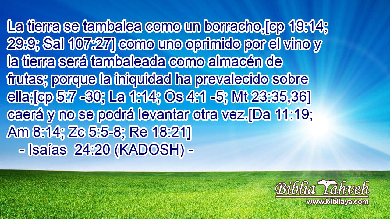  La tierra se tambalea como un borracho,[cp 19:14; 29:9; Sal 107:27] como uno oprimido por el vino y la tierra será tambaleada como almacén de frutas; porque la iniquidad ha prevalecido sobre ella;[cp 5:7 -30; La 1:14; Os 4:1 -5; Mt 23:35,36] caerá y no se podrá levantar otra vez.[Da 11:19; Am 8:14; Zc 5:5-8; Re 18:21] 