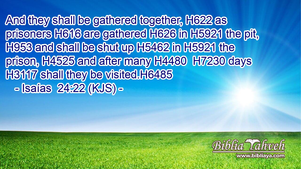 And they shall be gathered together, H622 as prisoners H616 are gathered H626 in H5921 the pit, H953 and shall be shut up H5462 in H5921 the prison, H4525 and after many H4480  H7230 days H3117 shall they be visited.H6485
