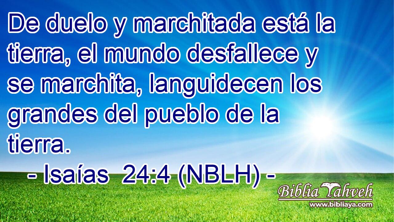  De duelo y marchitada está la tierra, el mundo desfallece y se marchita, languidecen los grandes del pueblo de la tierra. 