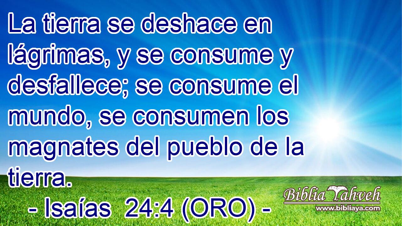  La tierra se deshace en lágrimas, y se consume y desfallece; se consume el mundo, se consumen los magnates del pueblo de la tierra. 