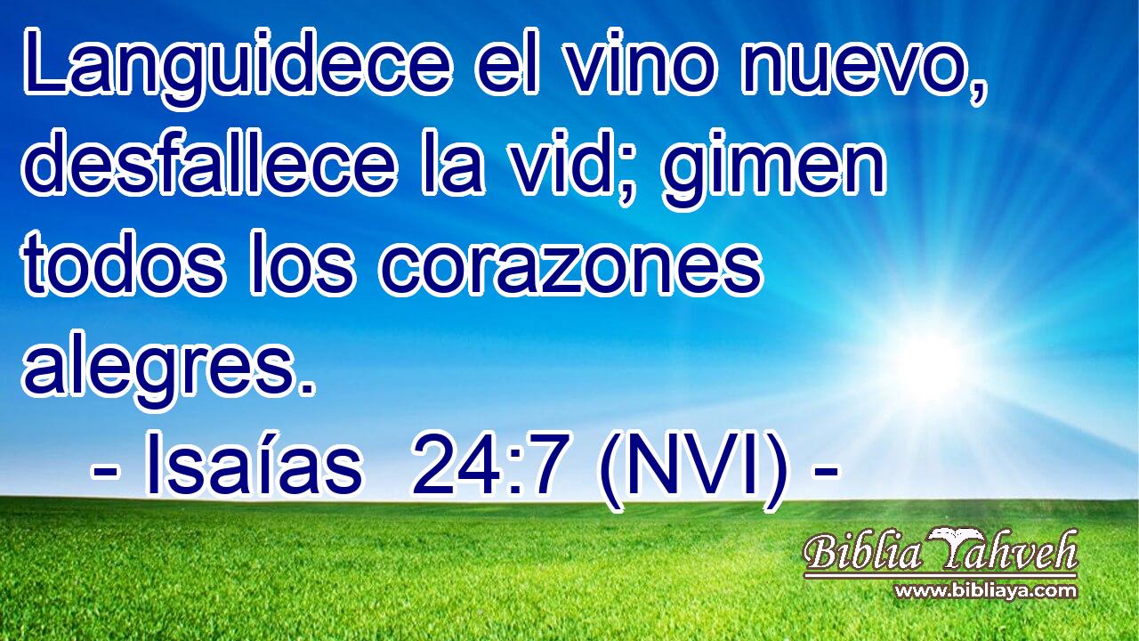  Languidece el vino nuevo, desfallece la vid; gimen todos los corazones alegres. 