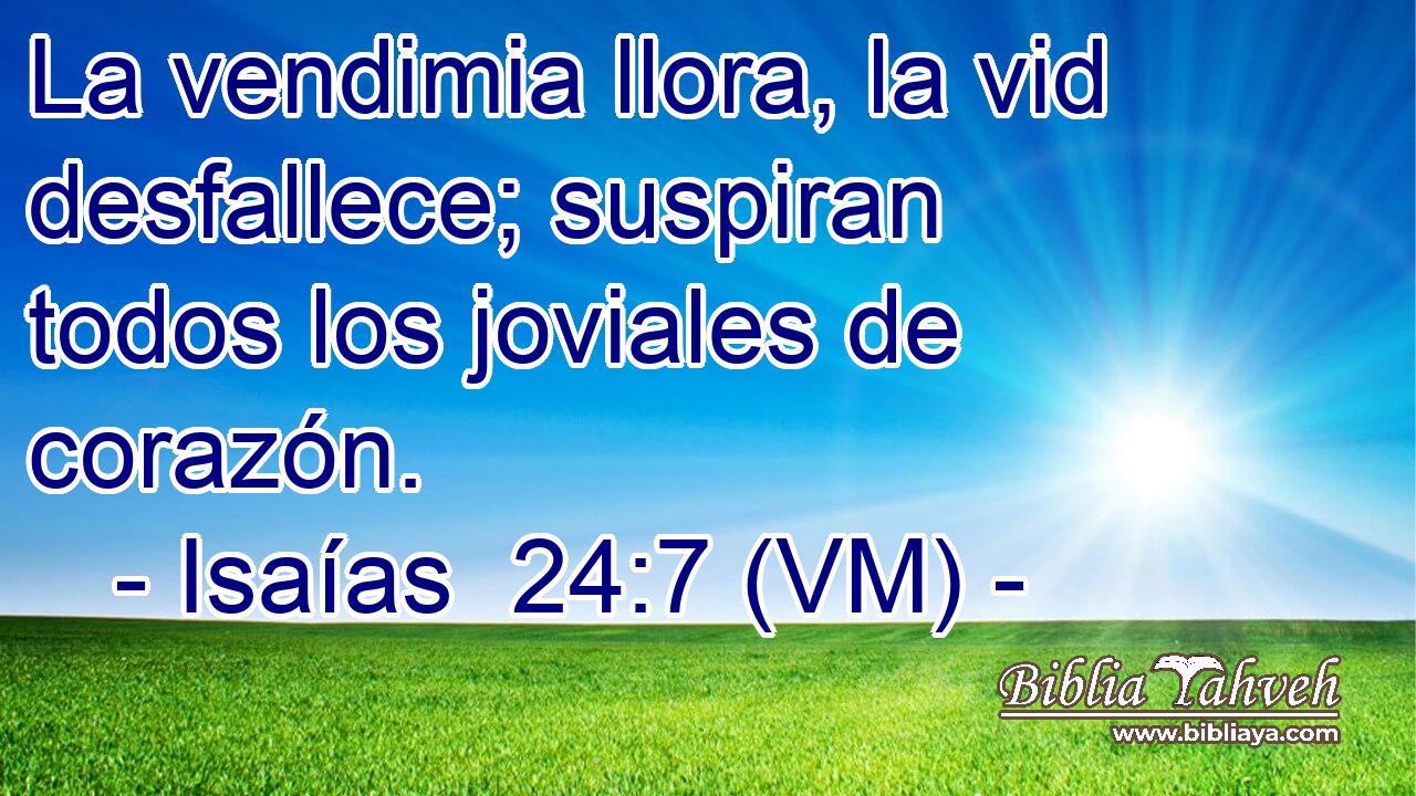  La vendimia llora, la vid desfallece; suspiran todos los joviales de corazón. 