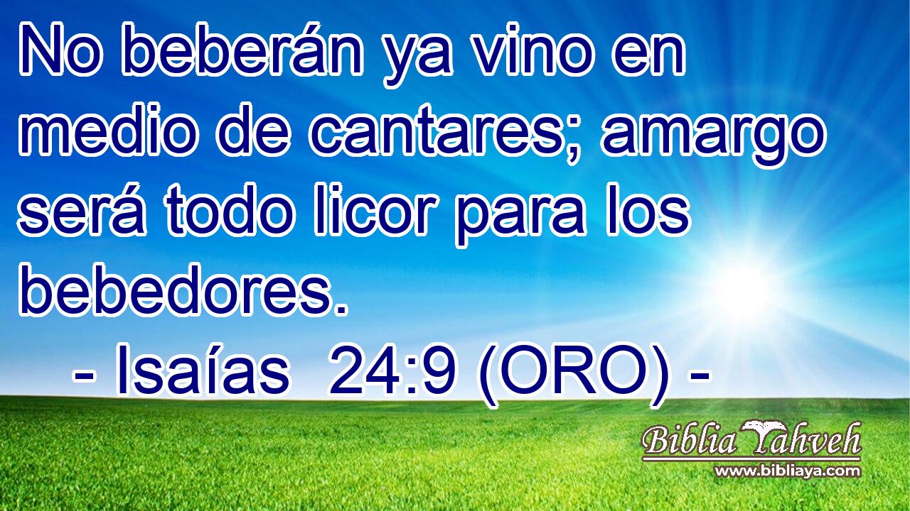  No beberán ya vino en medio de cantares; amargo será todo licor para los bebedores. 