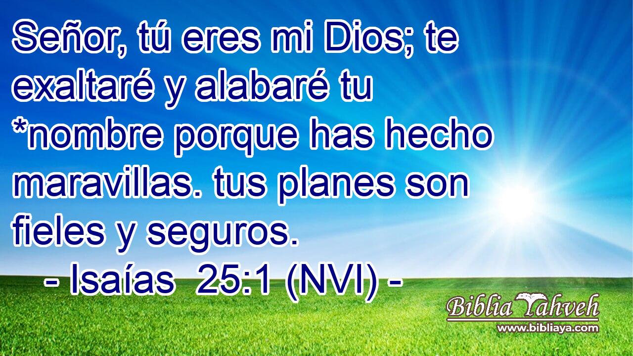  Señor, tú eres mi Dios; te exaltaré y alabaré tu *nombre porque has hecho maravillas. tus planes son fieles y seguros. 