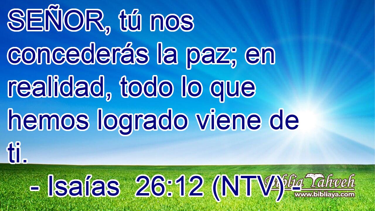 SEÑOR, tú nos concederás la paz; en realidad, todo lo que hemos logrado viene de ti.