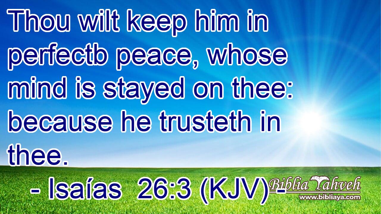 Thou wilt keep him in perfectb peace, whose mind is stayed on thee: because he trusteth in thee.