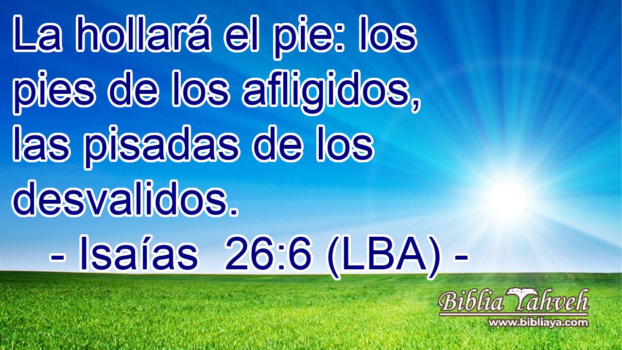La hollará el pie: los pies de los afligidos, las pisadas de los desvalidos.