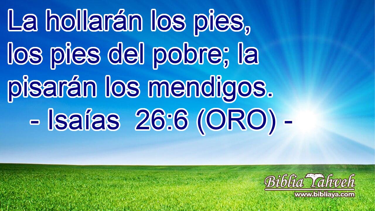  La hollarán los pies, los pies del pobre; la pisarán los mendigos. 