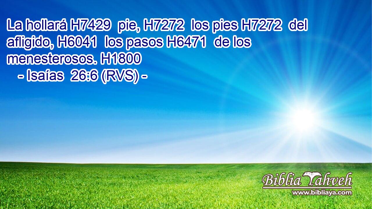 La hollará H7429  pie, H7272  los pies H7272  del afligido, H6041  los pasos H6471  de los menesterosos. H1800  