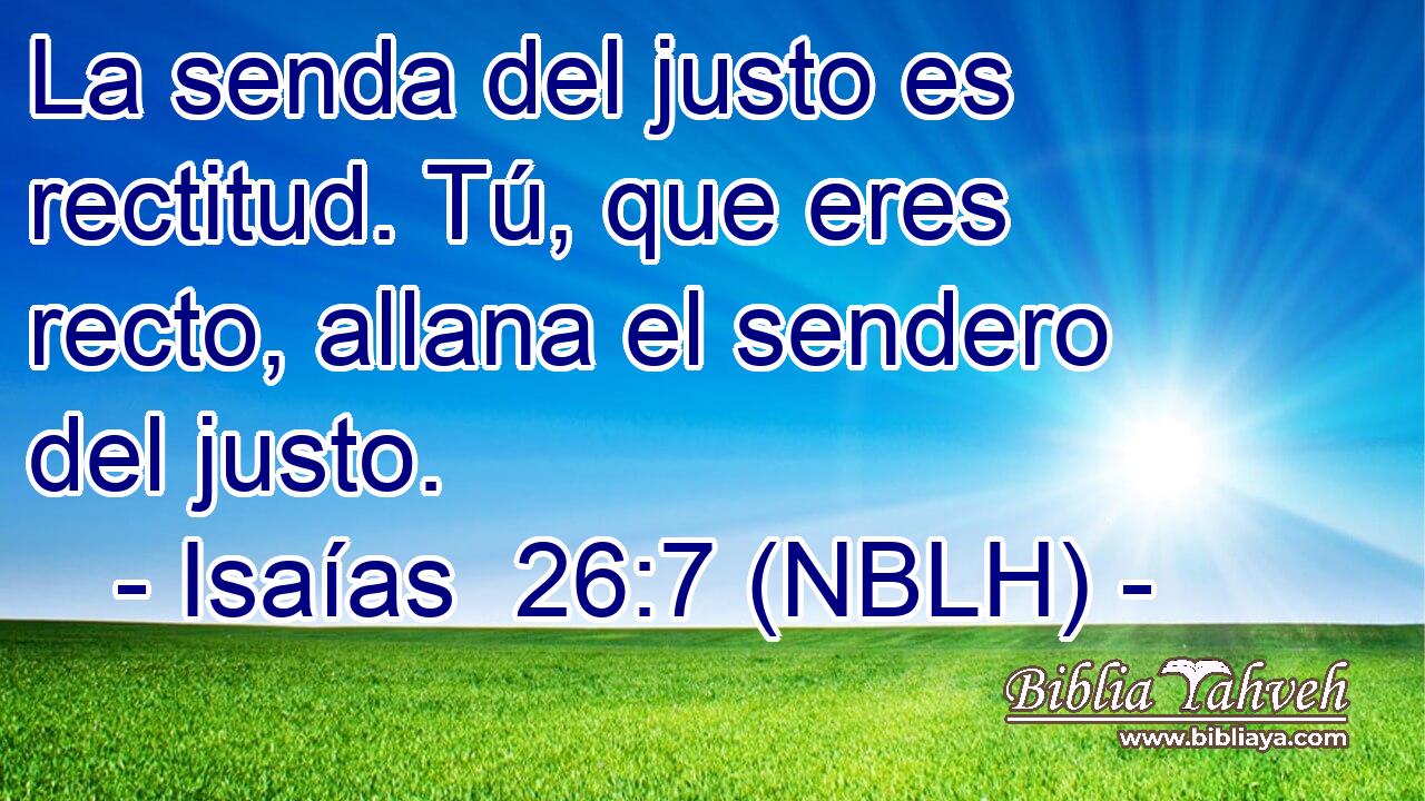  La senda del justo es rectitud. Tú, que eres recto, allana el sendero del justo. 
