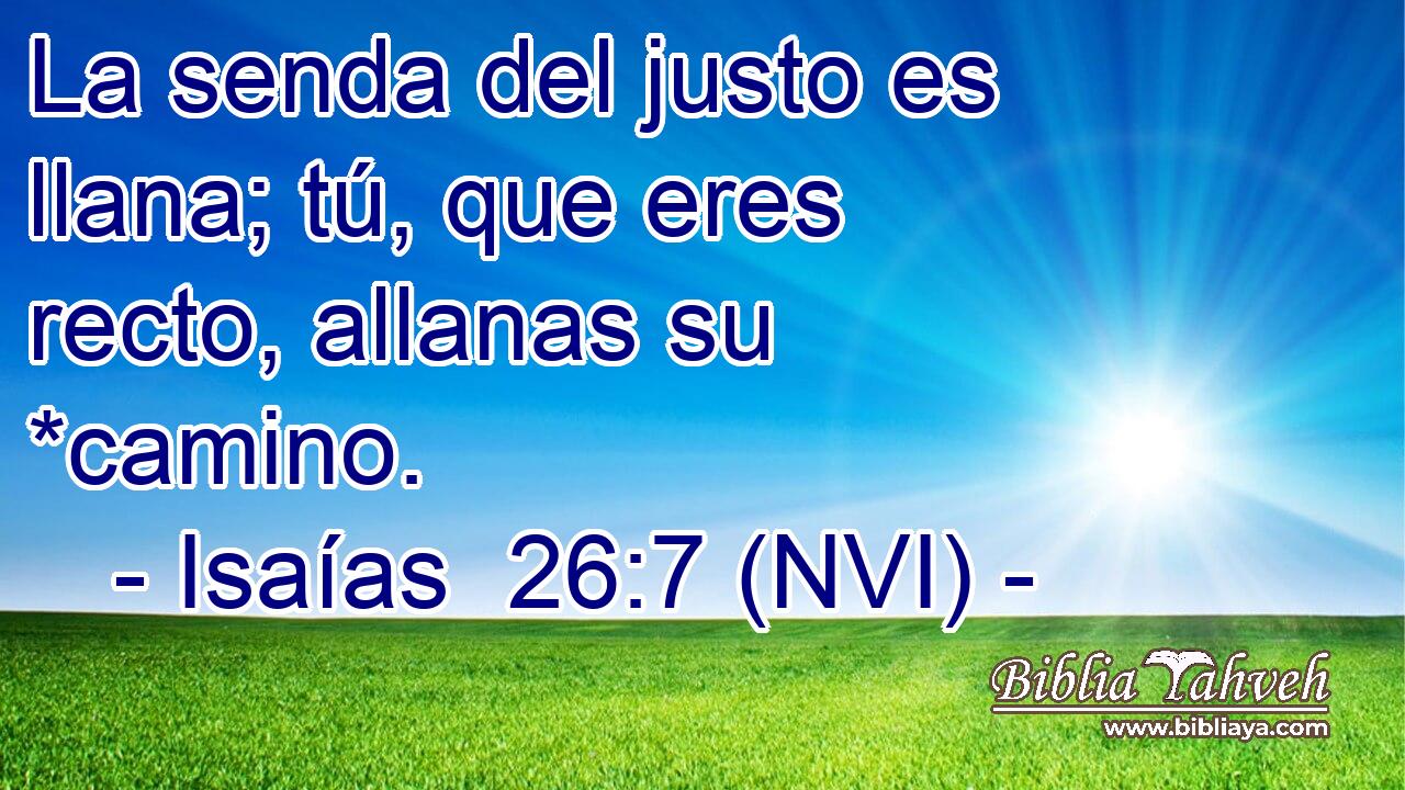  La senda del justo es llana; tú, que eres recto, allanas su *camino. 