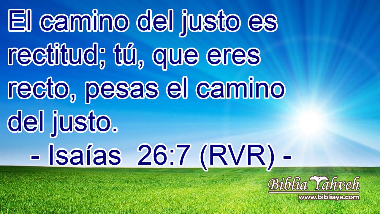 El camino del justo es rectitud; tú, que eres recto, pesas el camino del justo.