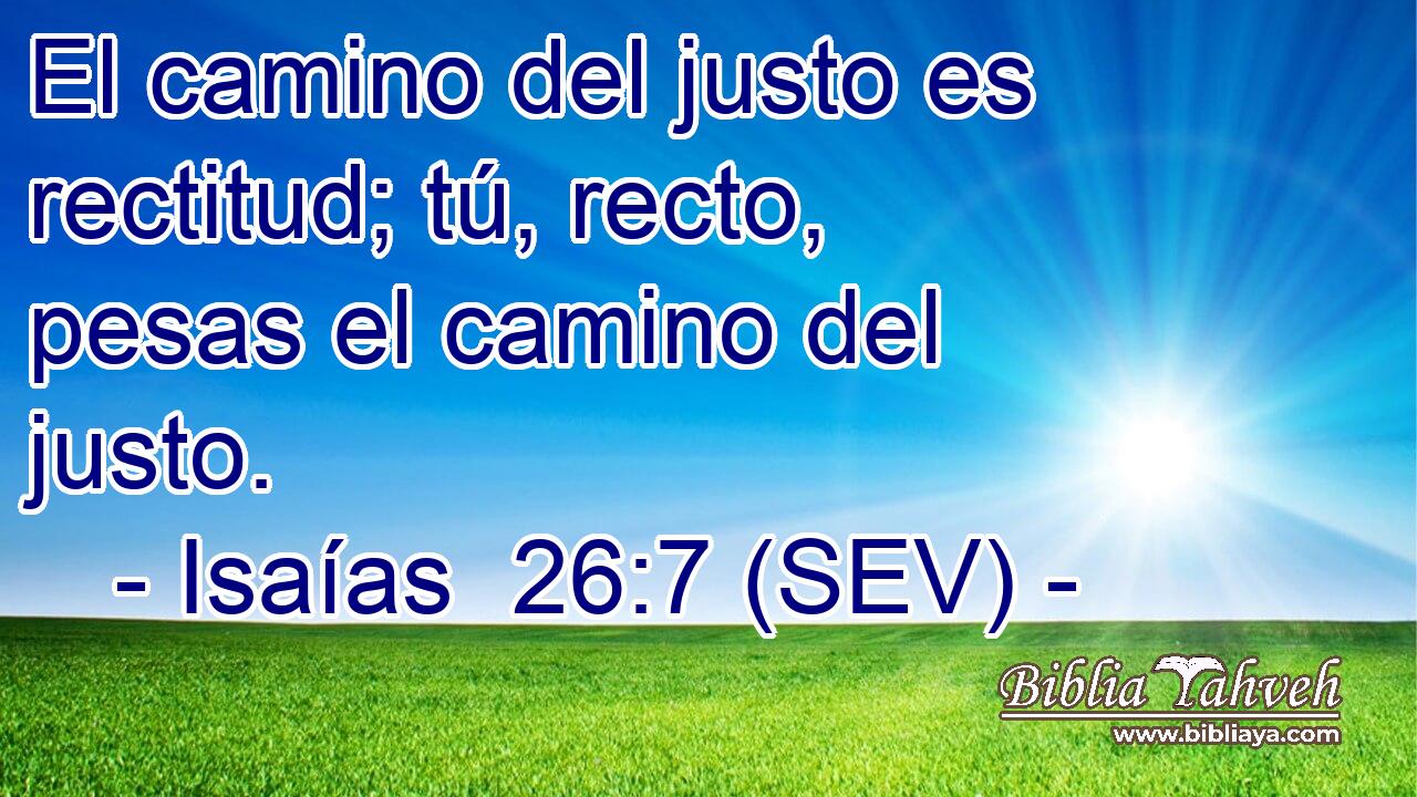 El camino del justo es rectitud; tú, recto, pesas el camino del justo.