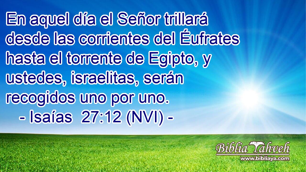  En aquel día el Señor trillará desde las corrientes del Éufrates hasta el torrente de Egipto, y ustedes, israelitas, serán recogidos uno por uno. 