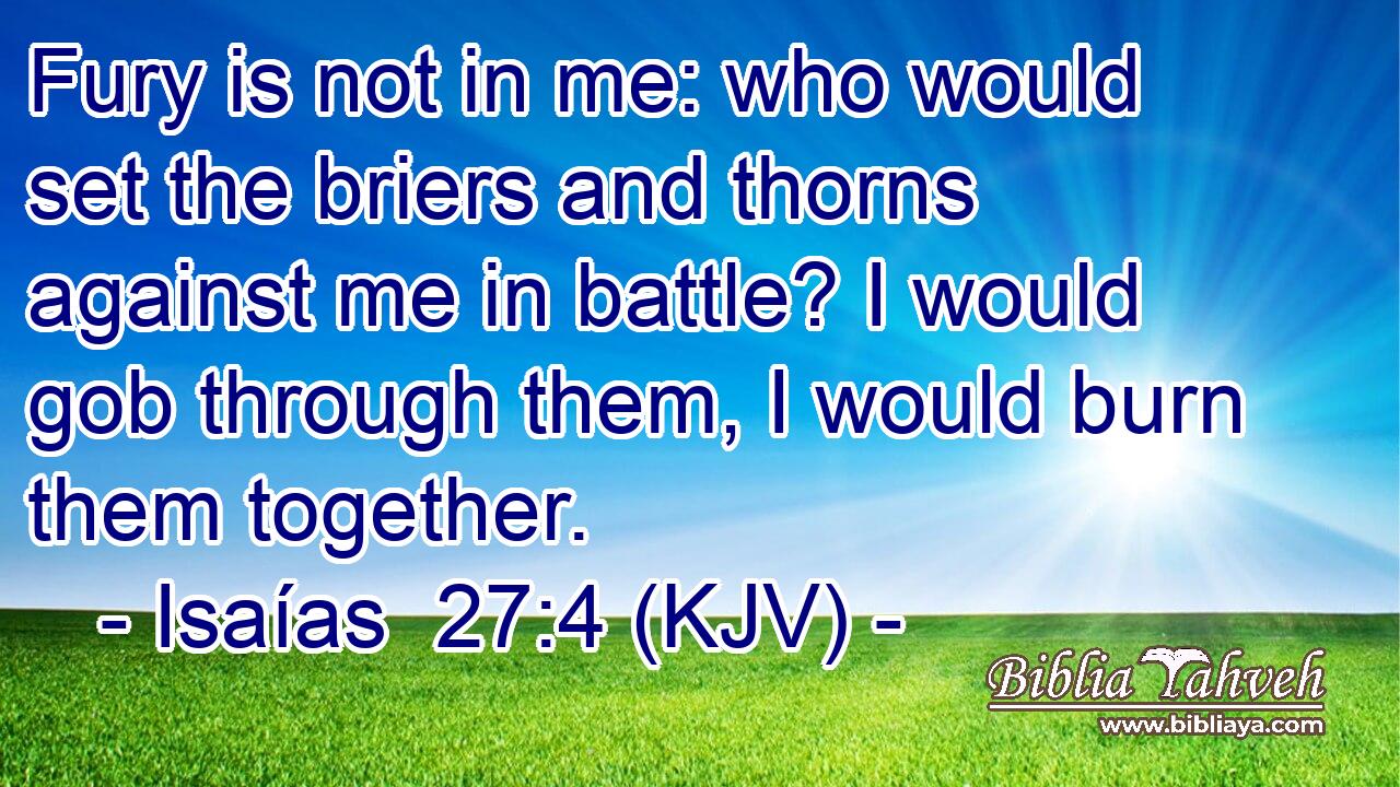 Fury is not in me: who would set the briers and thorns against me in battle? I would gob through them, I would burn them together.
