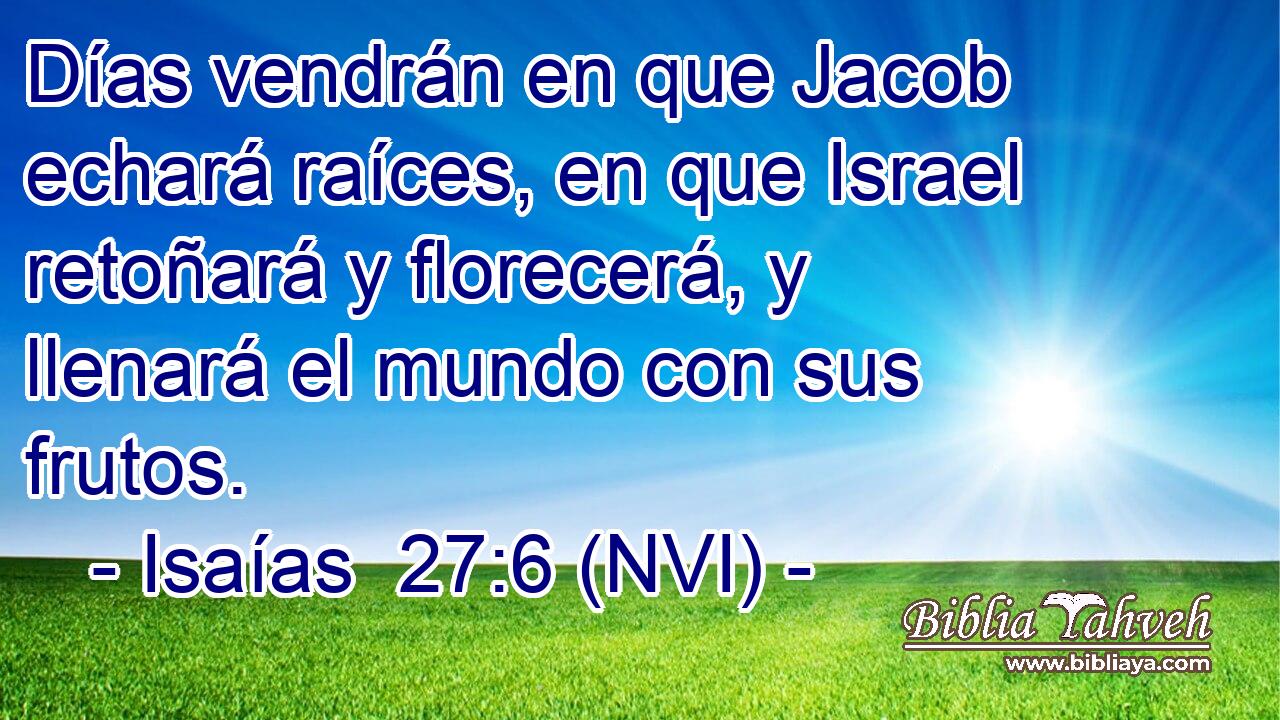  Días vendrán en que Jacob echará raíces, en que Israel retoñará y florecerá, y llenará el mundo con sus frutos. 