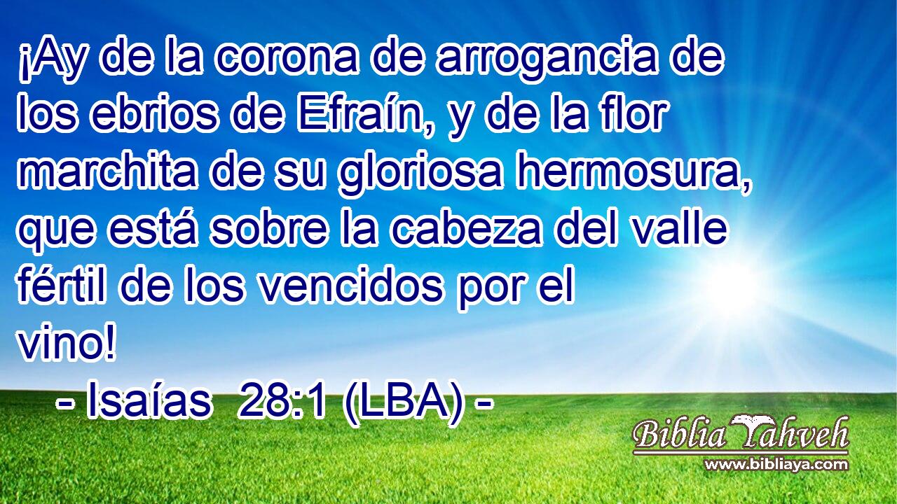 ¡Ay de la corona de arrogancia de los ebrios de Efraín, y de la flor marchita de su gloriosa hermosura, que está sobre la cabeza del valle fértil de los vencidos por el vino!
