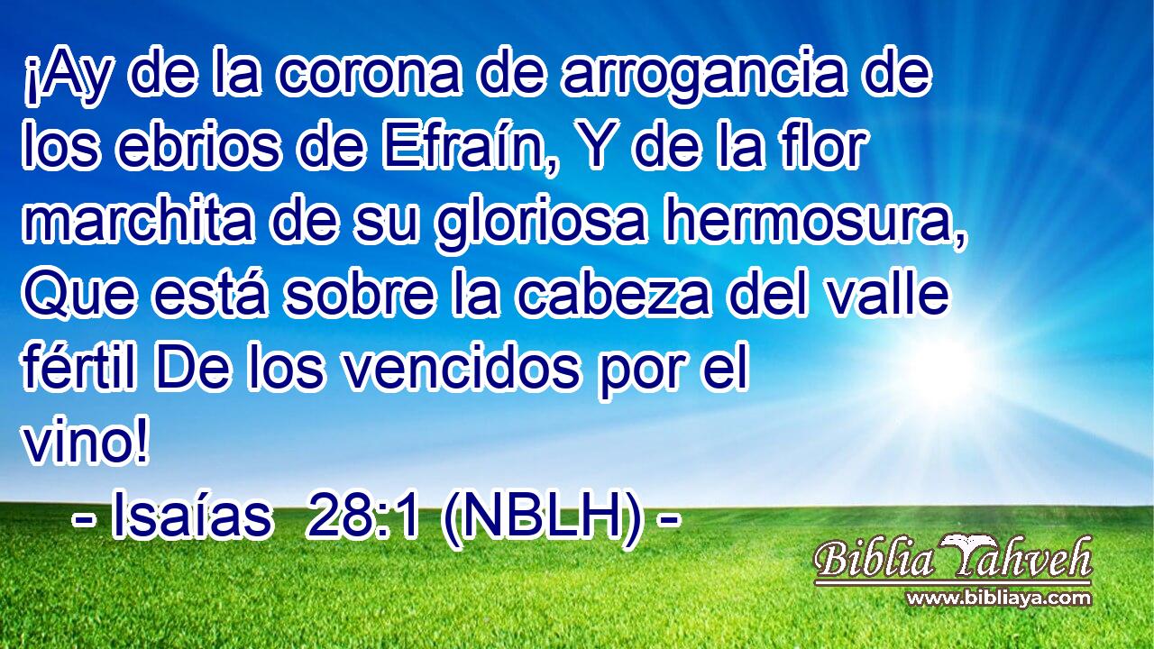  ¡Ay de la corona de arrogancia de los ebrios de Efraín, Y de la flor marchita de su gloriosa hermosura, Que está sobre la cabeza del valle fértil De los vencidos por el vino! 