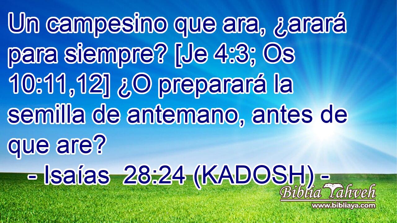  Un campesino que ara, ¿arará para siempre? [Je 4:3; Os 10:11,12] ¿O preparará la semilla de antemano, antes de que are? 
