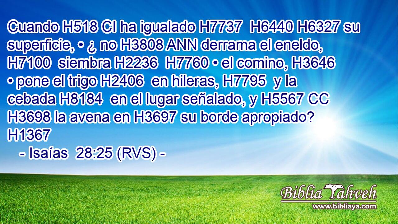 Cuando H518 CI ha igualado H7737  H6440 H6327 su superficie, • ¿ no H3808 ANN derrama el eneldo, H7100  siembra H2236  H7760 • el comino, H3646  • pone el trigo H2406  en hileras, H7795  y la cebada H8184  en el lugar señalado, y H5567 CC H3698 la avena en H3697 su borde apropiado? H1367 