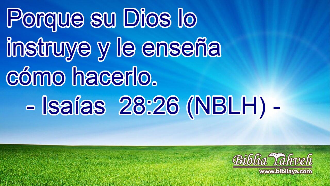  Porque su Dios lo instruye y le enseña cómo hacerlo. 