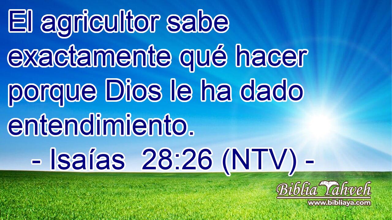 El agricultor sabe exactamente qué hacer porque Dios le ha dado entendimiento.