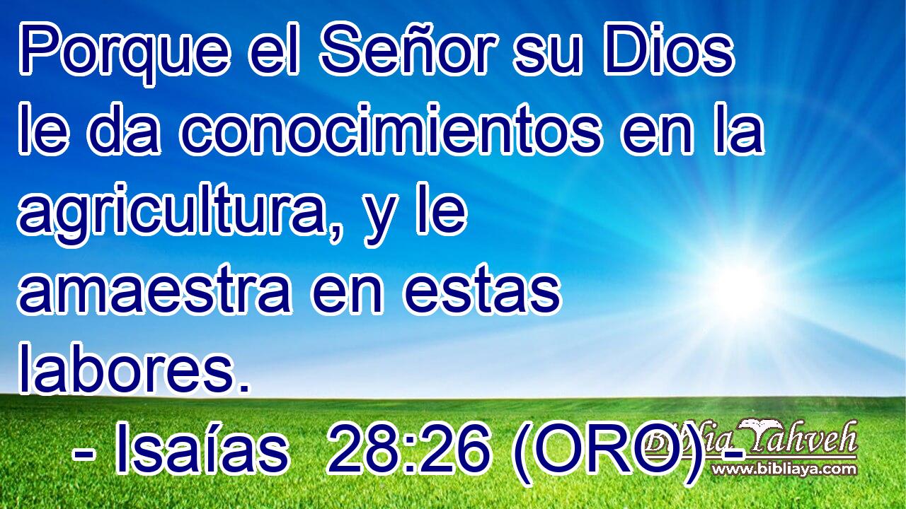  Porque el Señor su Dios le da conocimientos en la agricultura, y le amaestra en estas labores. 
