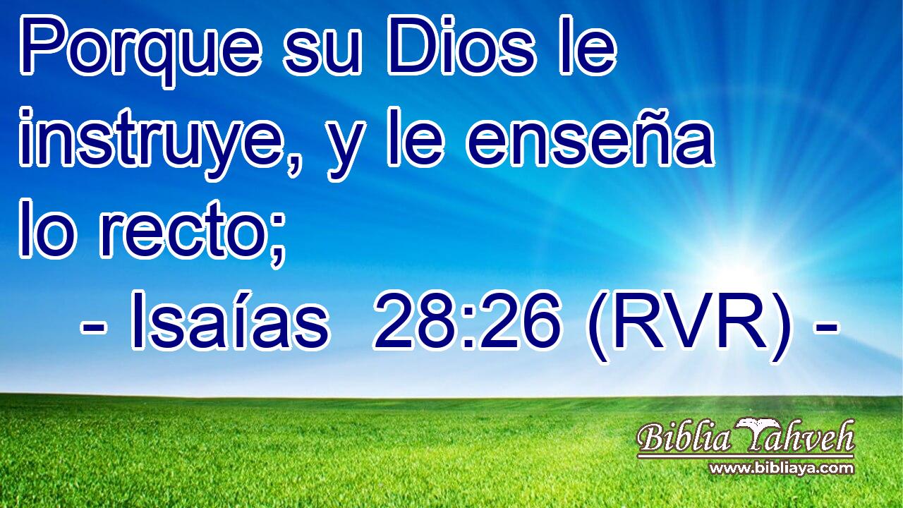 Porque su Dios le instruye, y le enseña lo recto;