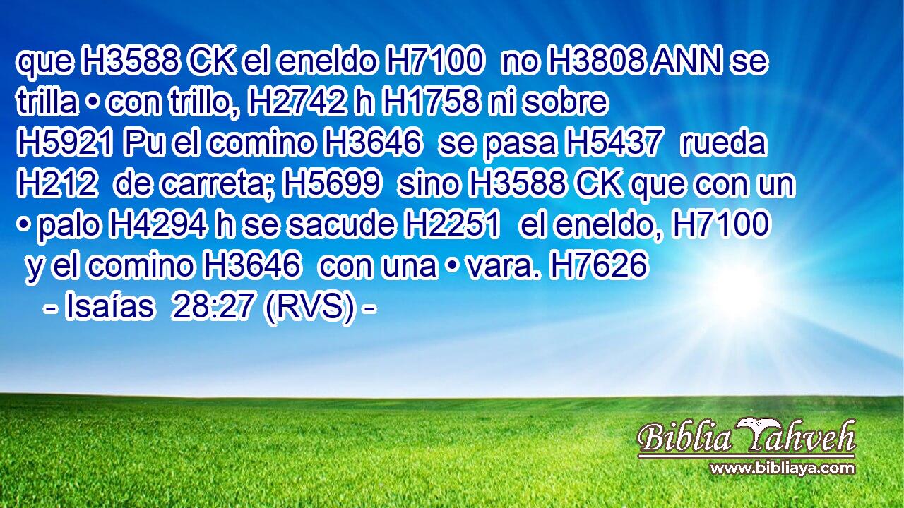 que H3588 CK el eneldo H7100  no H3808 ANN se trilla • con trillo, H2742 h H1758 ni sobre H5921 Pu el comino H3646  se pasa H5437  rueda H212  de carreta; H5699  sino H3588 CK que con un • palo H4294 h se sacude H2251  el eneldo, H7100  y el comino H3646  con una • vara. H7626  