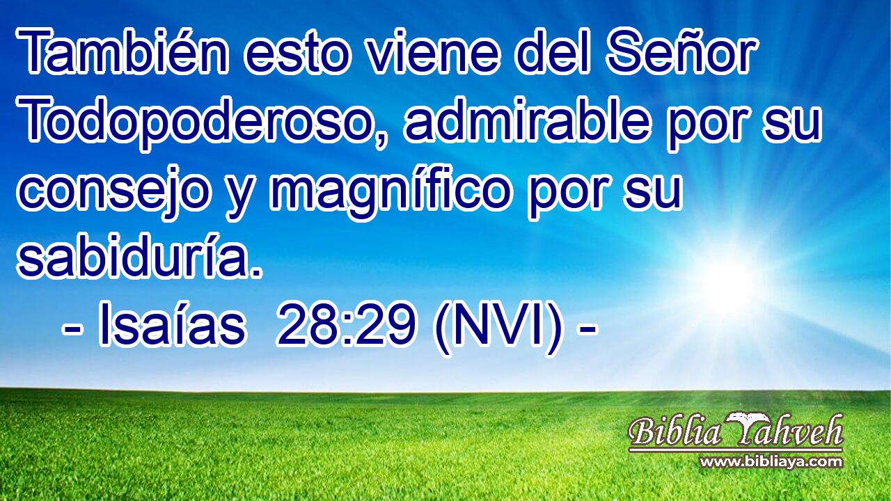  También esto viene del Señor Todopoderoso, admirable por su consejo y magnífico por su sabiduría. 