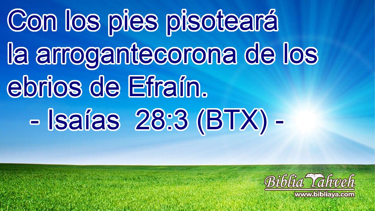 Con los pies pisoteará la arrogantecorona de los ebrios de Efraín.