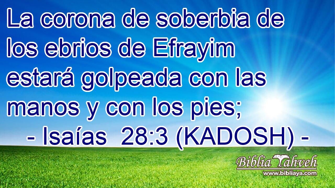  La corona de soberbia de los ebrios de Efrayim estará golpeada con las manos y con los pies; 