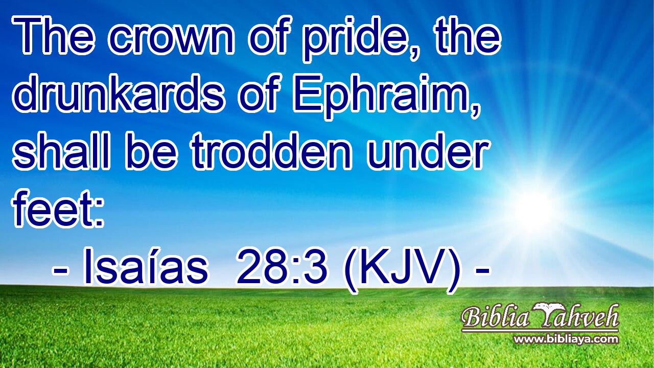 The crown of pride, the drunkards of Ephraim, shall be trodden under feet: