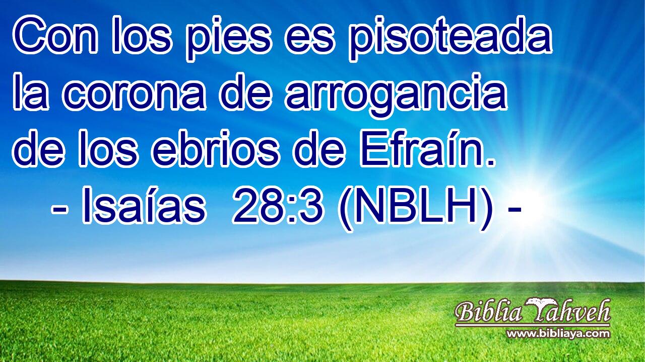  Con los pies es pisoteada la corona de arrogancia de los ebrios de Efraín. 