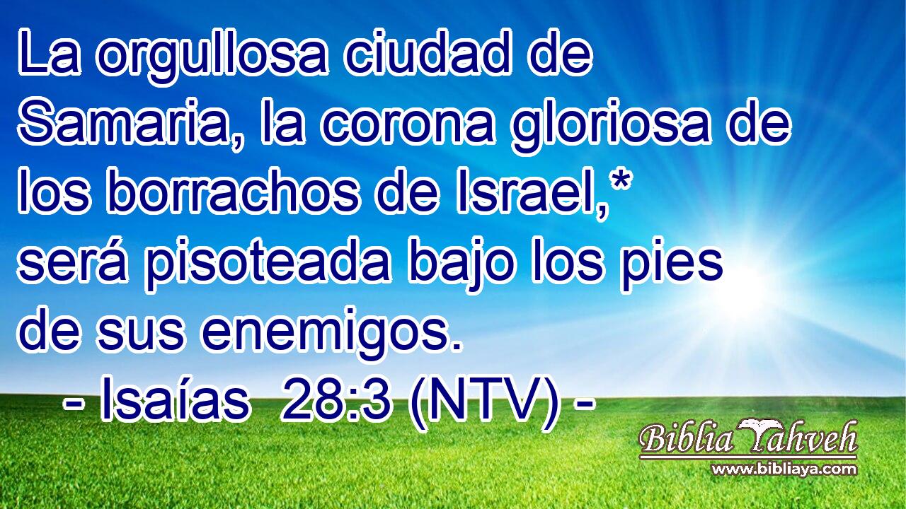 La orgullosa ciudad de Samaria, la corona gloriosa de los borrachos de Israel,* será pisoteada bajo los pies de sus enemigos.