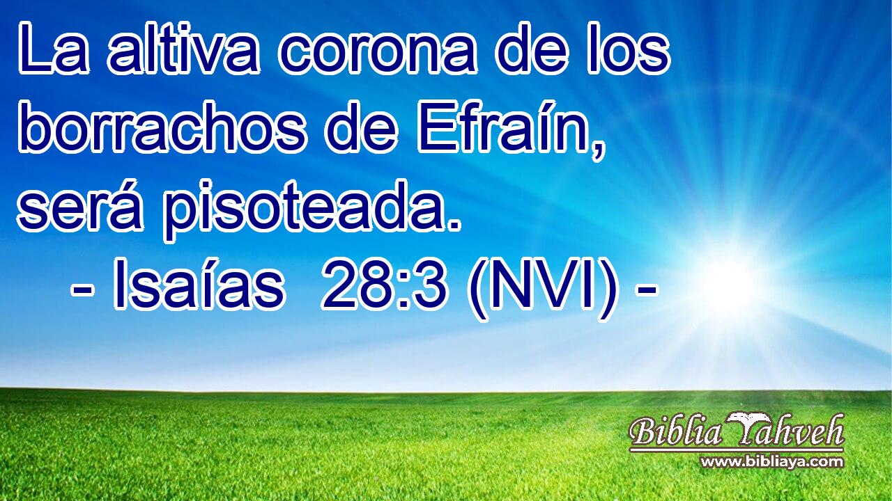  La altiva corona de los borrachos de Efraín, será pisoteada. 