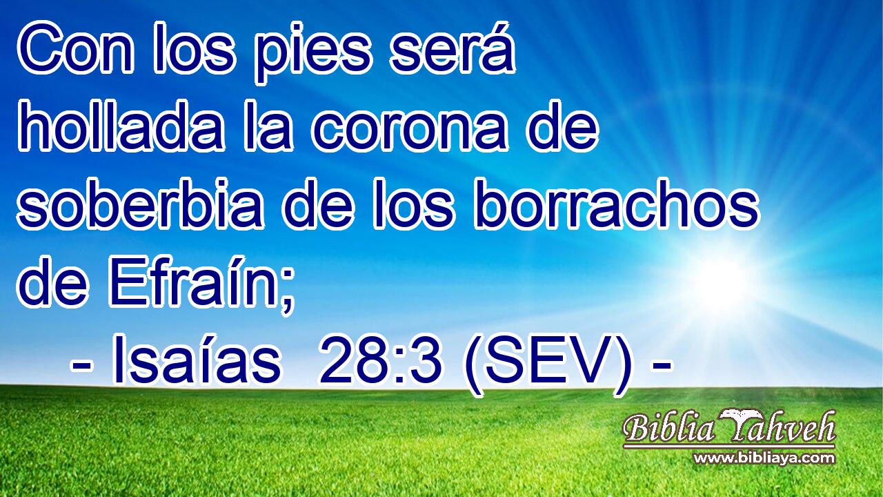 Con los pies será hollada la corona de soberbia de los borrachos de Efraín;
