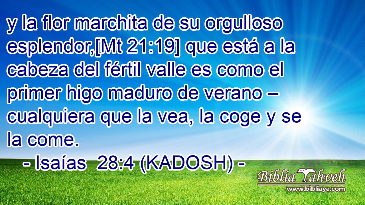  y la flor marchita de su orgulloso esplendor,[Mt 21:19] que está a la cabeza del fértil valle es como el primer higo maduro de verano – cualquiera que la vea, la coge y se la come. 