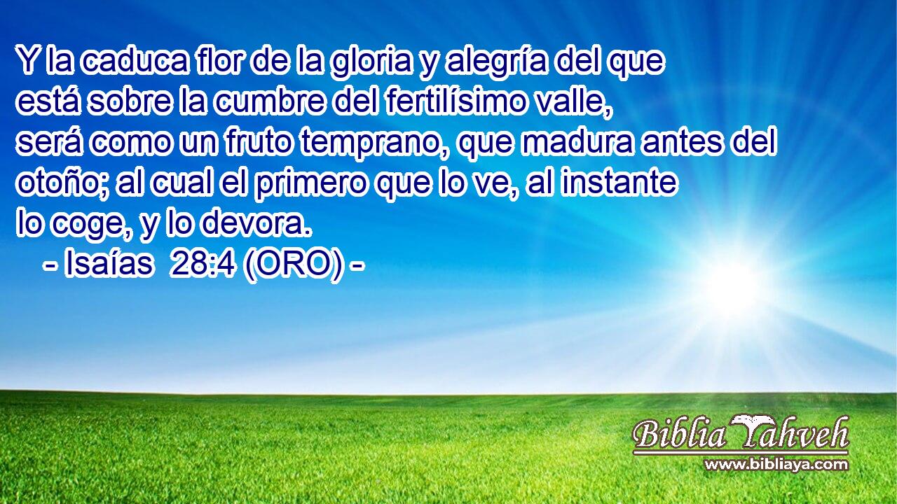  Y la caduca flor de la gloria y alegría del que está sobre la cumbre del fertilísimo valle, será como un fruto temprano, que madura antes del otoño; al cual el primero que lo ve, al instante lo coge, y lo devora. 
