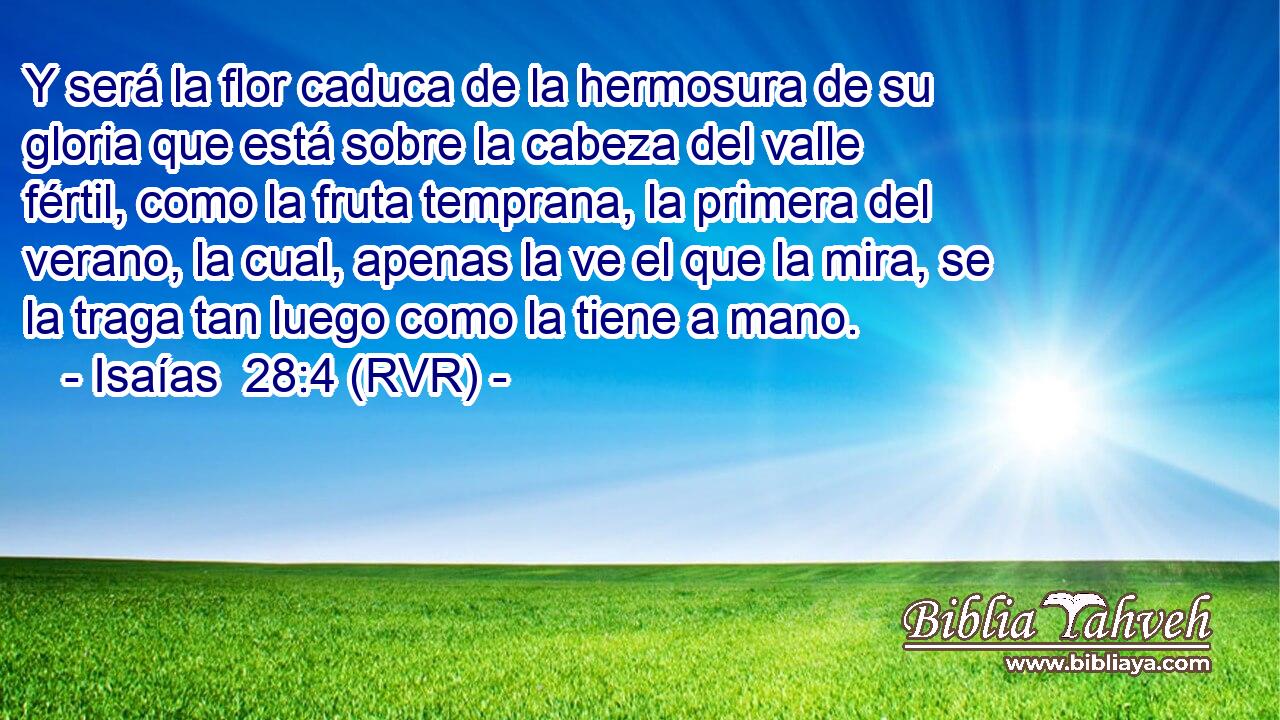 Y será la flor caduca de la hermosura de su gloria que está sobre la cabeza del valle fértil, como la fruta temprana, la primera del verano, la cual, apenas la ve el que la mira, se la traga tan luego como la tiene a mano.