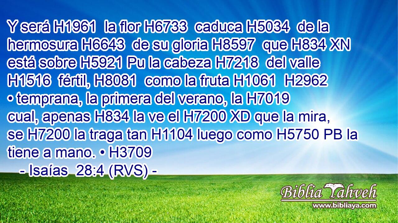 Y será H1961  la flor H6733  caduca H5034  de la hermosura H6643  de su gloria H8597  que H834 XN está sobre H5921 Pu la cabeza H7218  del valle H1516  fértil, H8081  como la fruta H1061  H2962 • temprana, la primera del verano, la H7019 cual, apenas H834 la ve el H7200 XD que la mira, se H7200 la traga tan H1104 luego como H5750 PB la tiene a mano. • H3709  