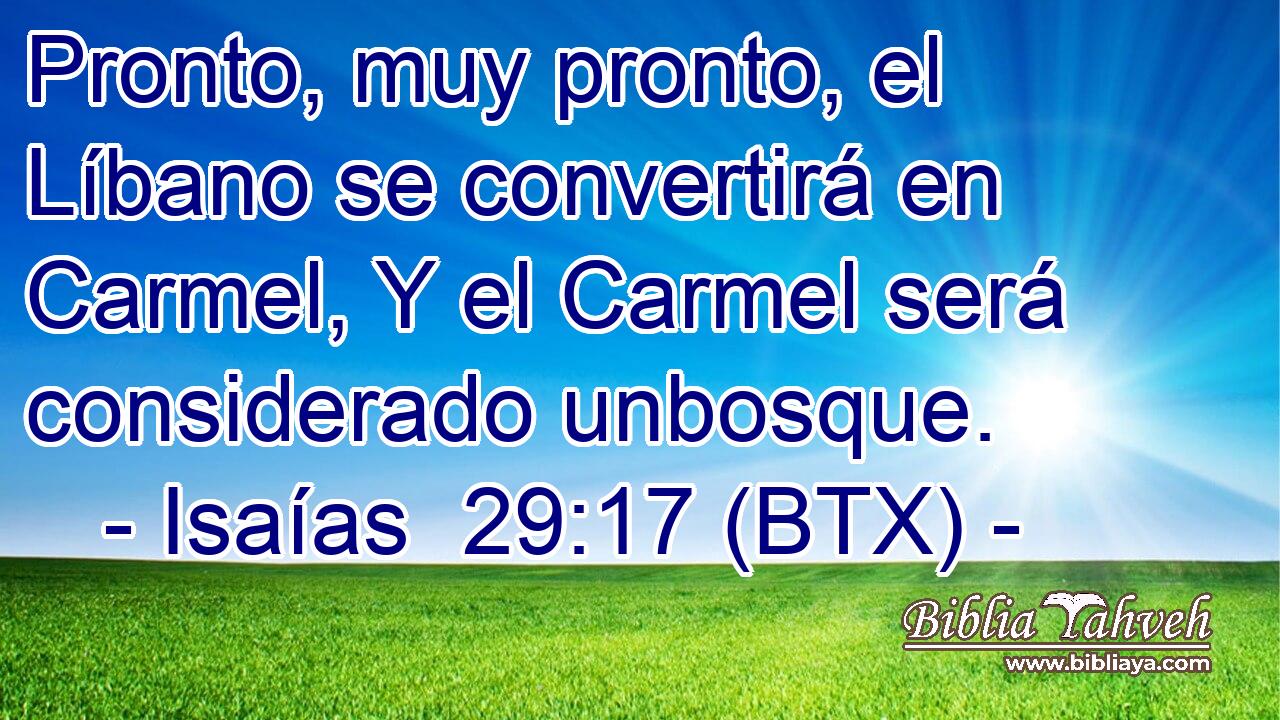 Pronto, muy pronto, el Líbano se convertirá en Carmel, Y el Carmel será considerado unbosque.