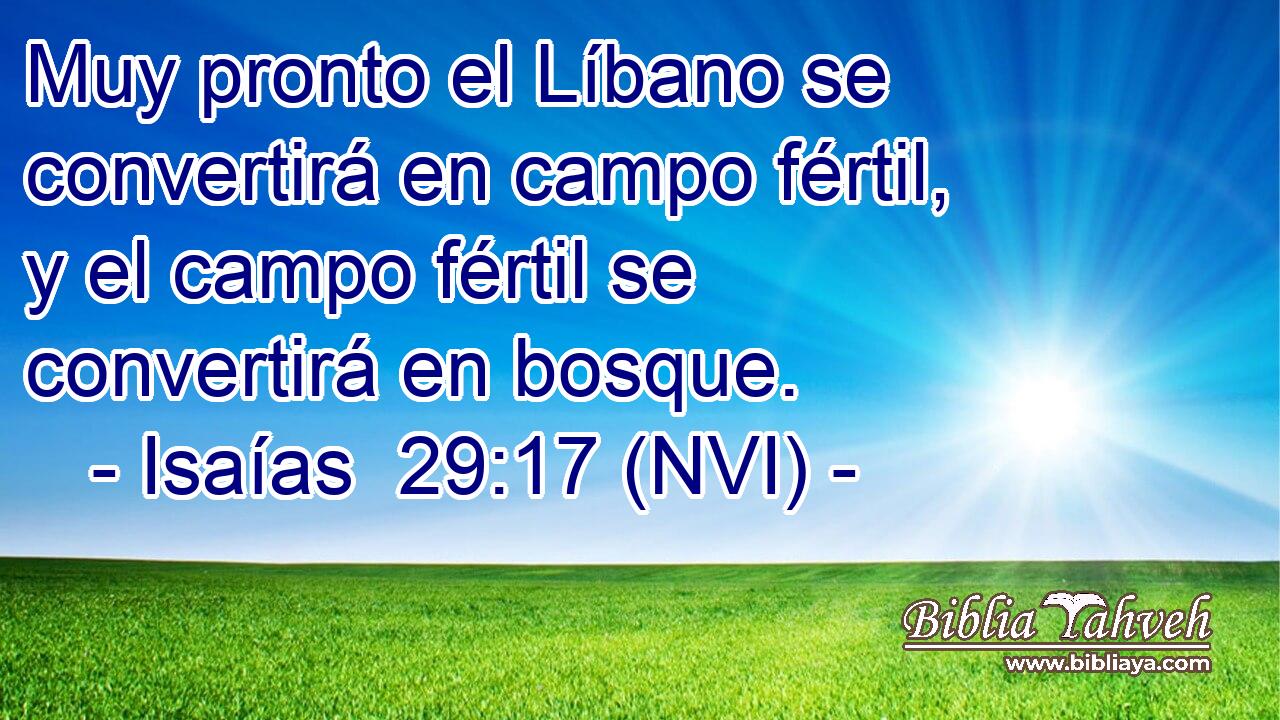  Muy pronto el Líbano se convertirá en campo fértil, y el campo fértil se convertirá en bosque. 