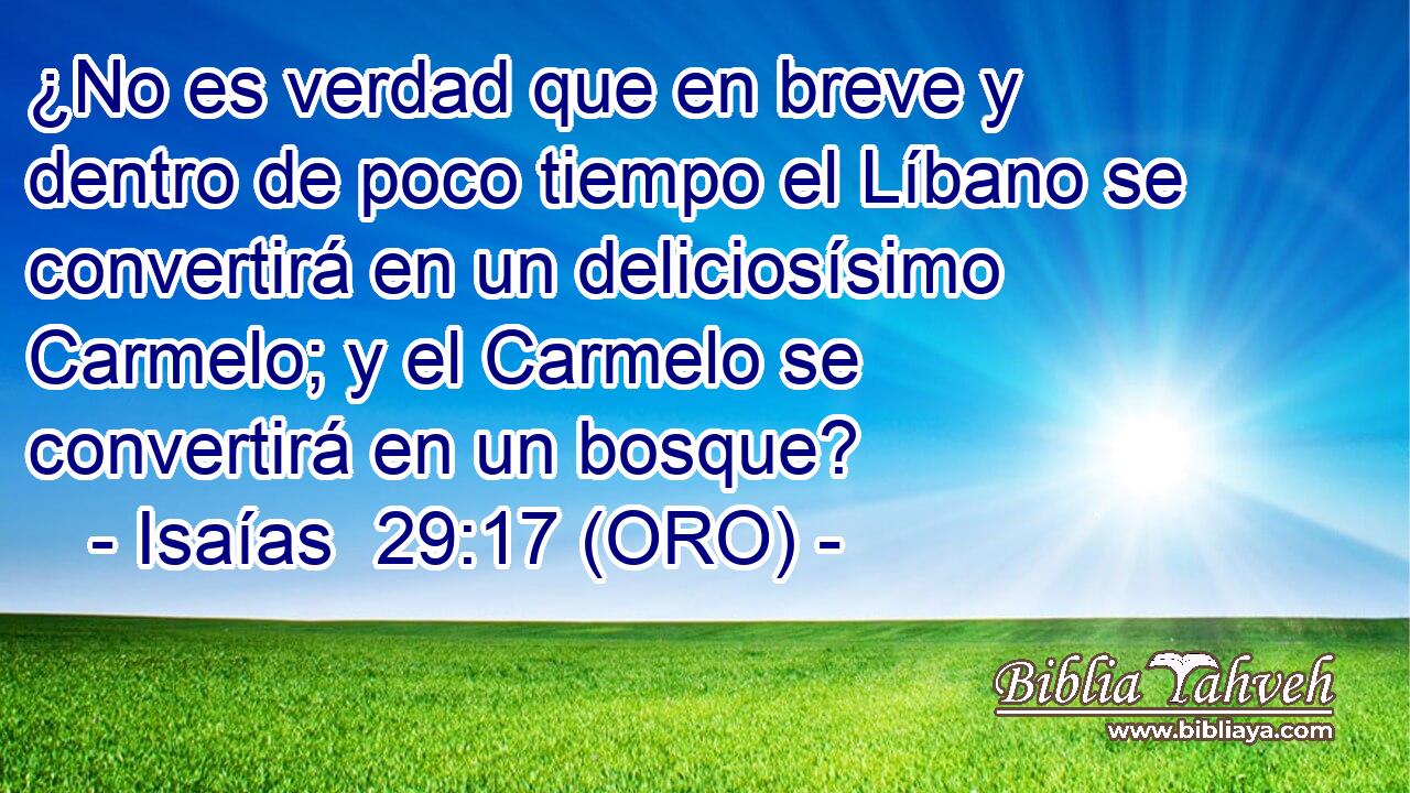  ¿No es verdad que en breve y dentro de poco tiempo el Líbano se convertirá en un deliciosísimo Carmelo; y el Carmelo se convertirá en un bosque? 
