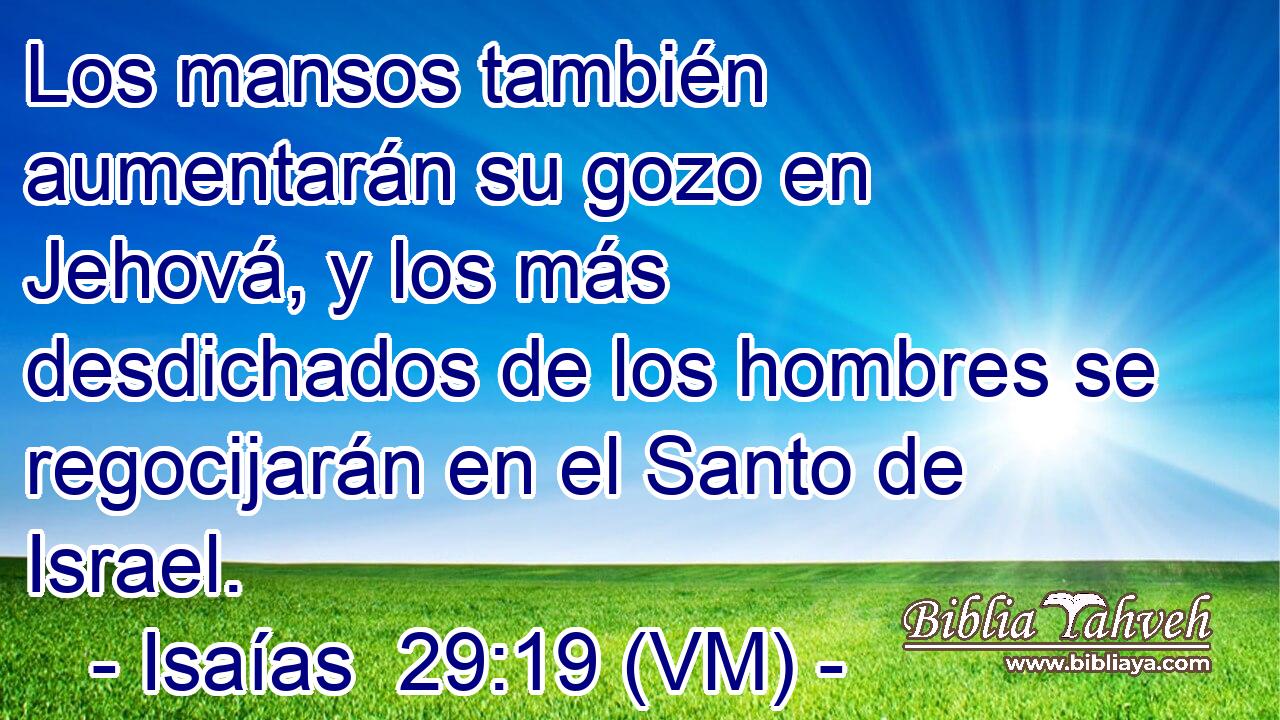  Los mansos también aumentarán su gozo en Jehová, y los más desdichados de los hombres se regocijarán en el Santo de Israel. 