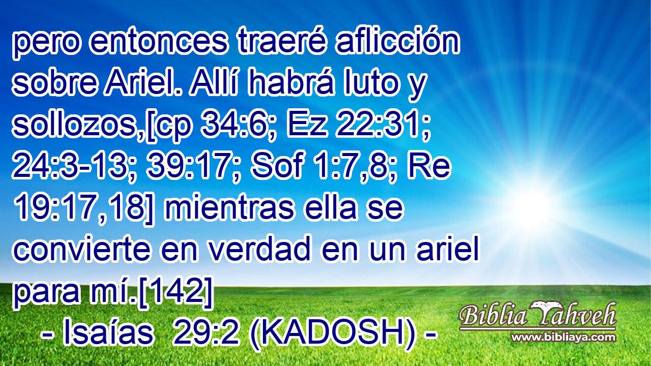  pero entonces traeré aflicción sobre Ariel. Allí habrá luto y sollozos,[cp 34:6; Ez 22:31; 24:3-13; 39:17; Sof 1:7,8; Re 19:17,18] mientras ella se convierte en verdad en un ariel para mí.[142] 