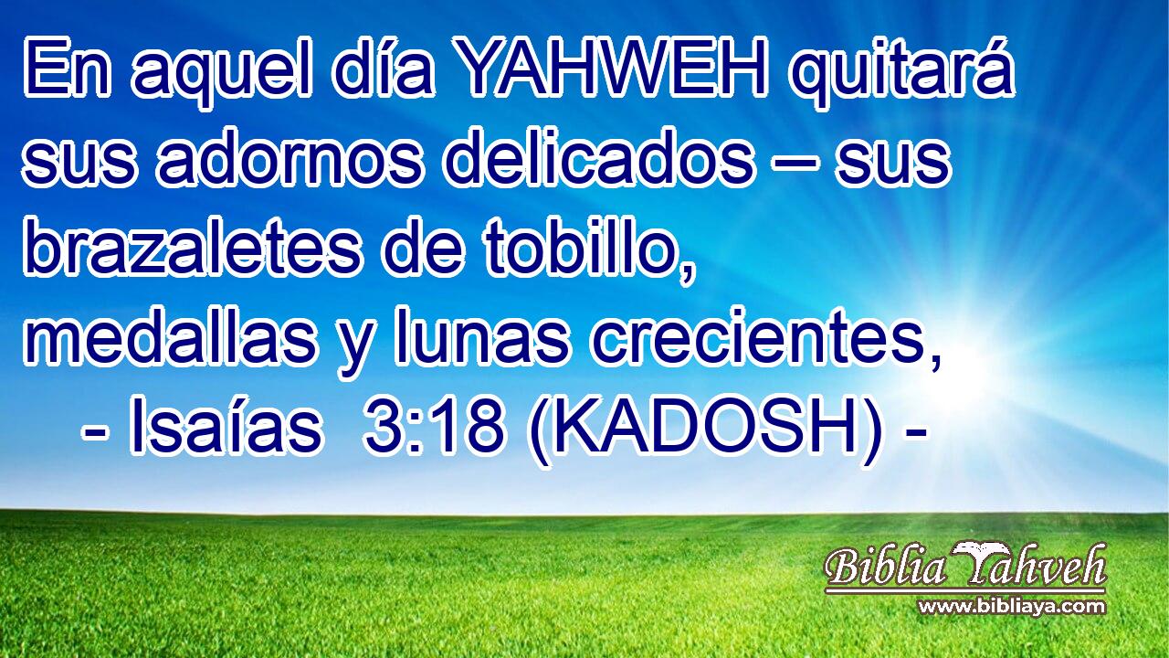  En aquel día YAHWEH quitará sus adornos delicados – sus brazaletes de tobillo, medallas y lunas crecientes, 