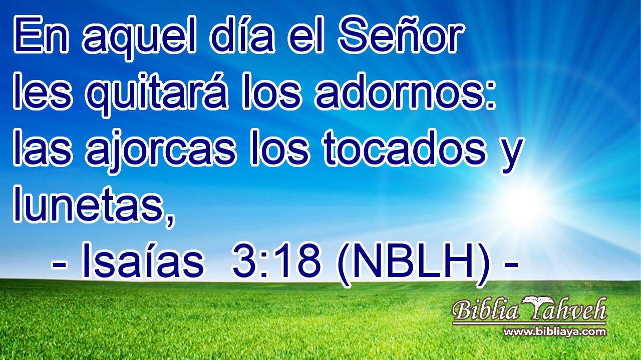  En aquel día el Señor les quitará los adornos: las ajorcas los tocados y lunetas, 
