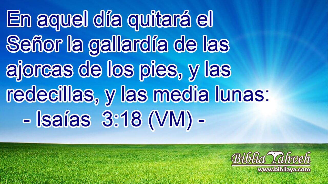  En aquel día quitará el Señor la gallardía de las ajorcas de los pies, y las redecillas, y las media lunas: 